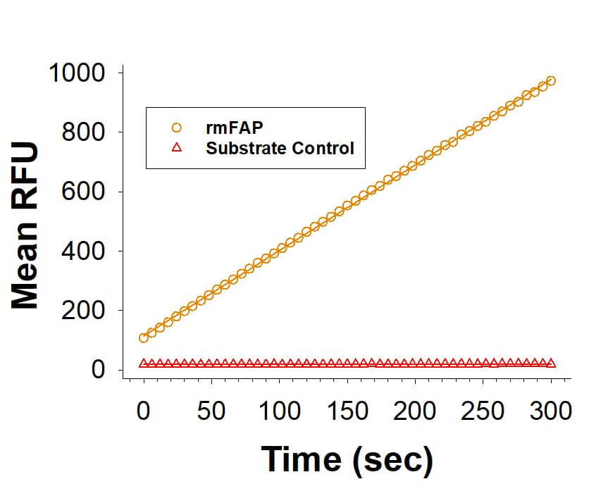 Recombinant Mouse FAP Protein Enzyme Activity