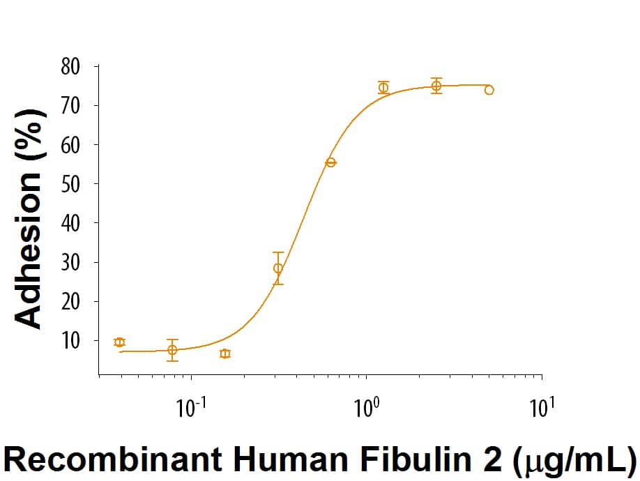 Recombinant Human Fibulin 2 Protein Bioactivity