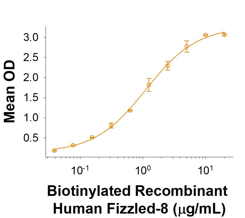 Recombinant Human Frizzled-8 Fc Biotinylated Protein Binding Activity