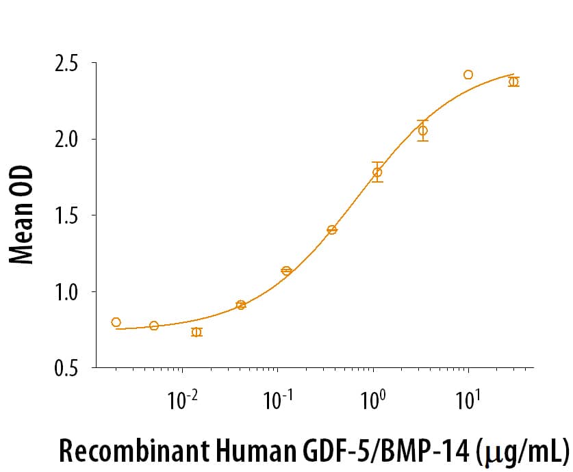 Recombinant Human GDF-5 Protein Bioactivity