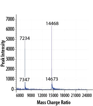 Recombinant Human GM-CSF GMP Protein Mass Spectrometry