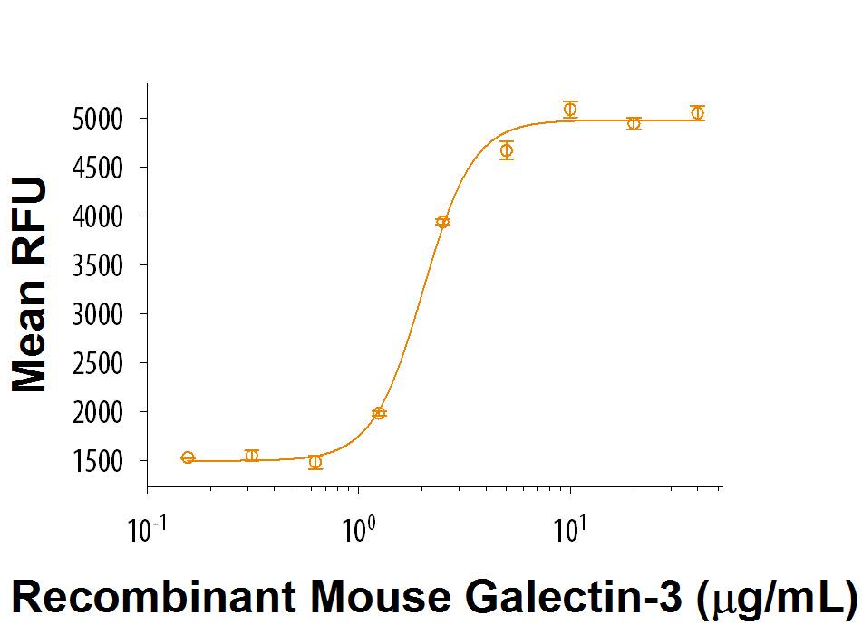 Recombinant Mouse Galectin-3 (Hek293-expressed) Protein Bioactivity