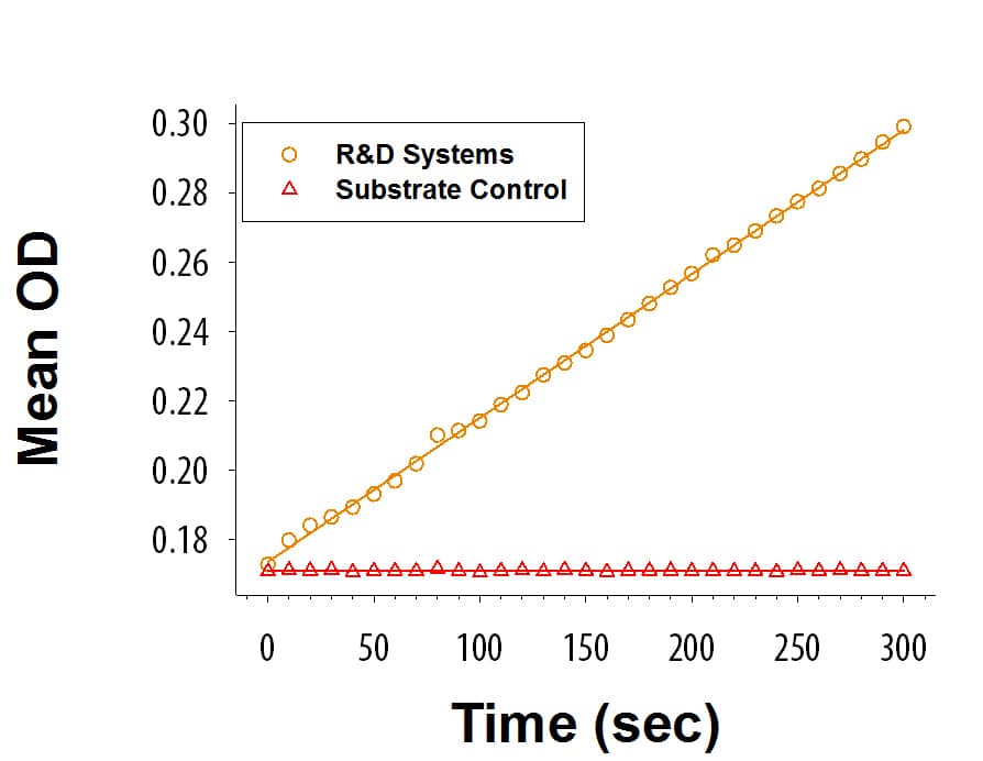 Recombinant P. heparinus Heparinase II Protein Enzyme Activity