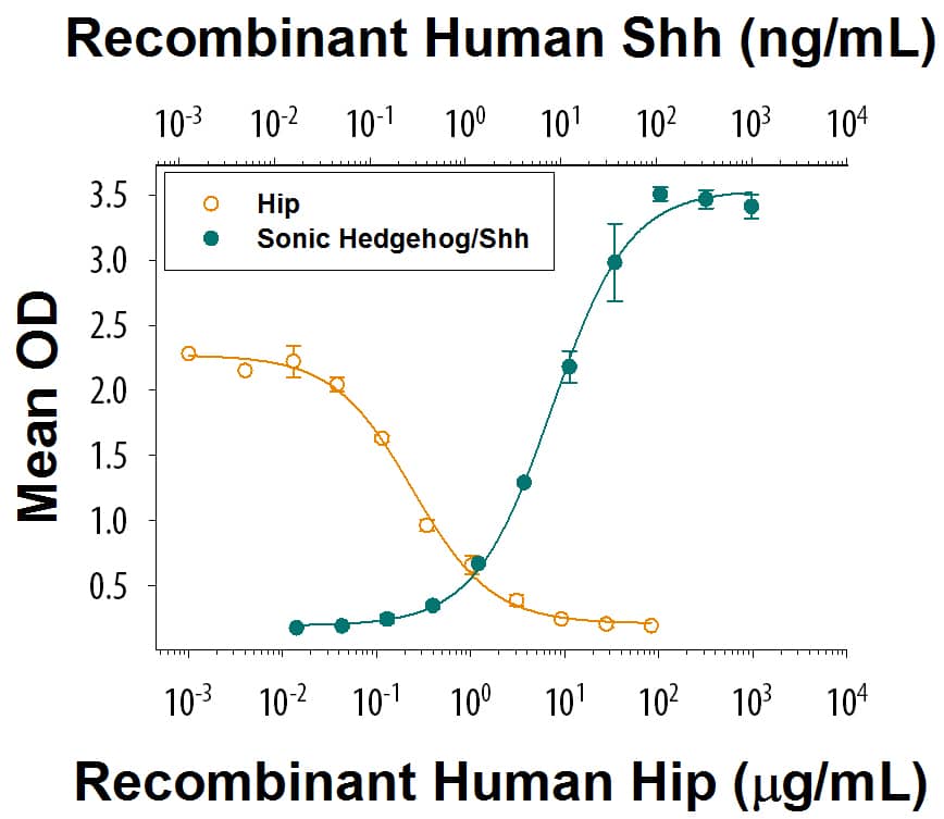 Recombinant Human Hip Protein Bioactivity