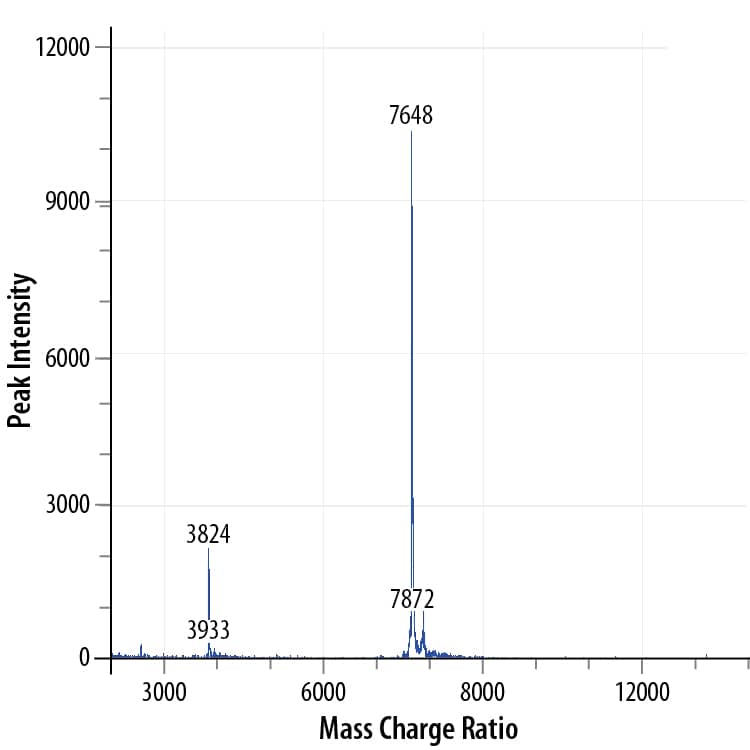 Recombinant Human IGF-I/IGF-1 GMP Protein Mass Spectrometry