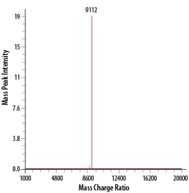 Recombinant Human LR3 IGF-I/IGF-1 Protein Mass Spectrometry