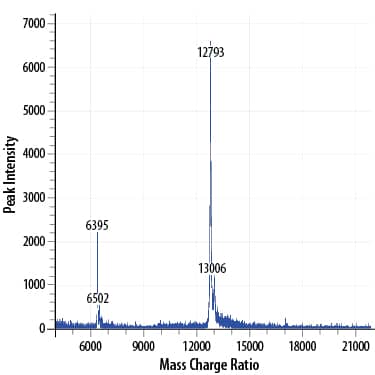 Recombinant Human IL-15 GMP Protein Mass Spectrometry