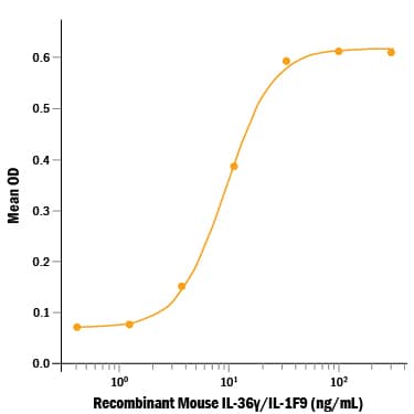 Recombinant Mouse IL-36 gamma/IL-1F9 (aa 13-164) Protein Bioactivity