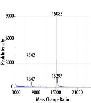 Recombinant Human IL-4 GMP Protein Mass Spectrometry