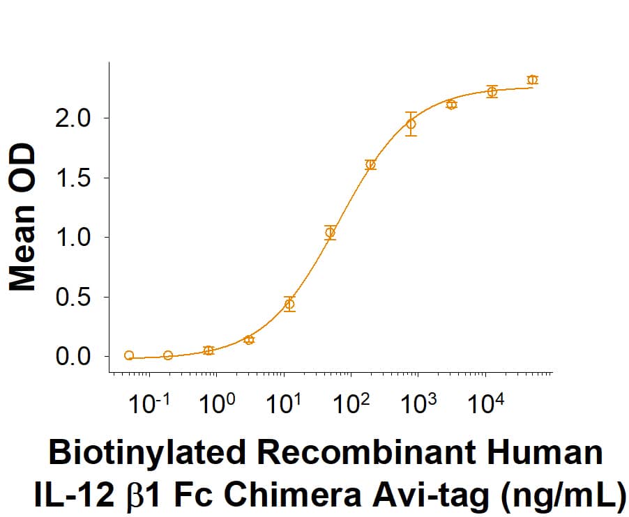 Recombinant Human IL-12 R beta 1 Fc Avi-tag Protein Binding Activity