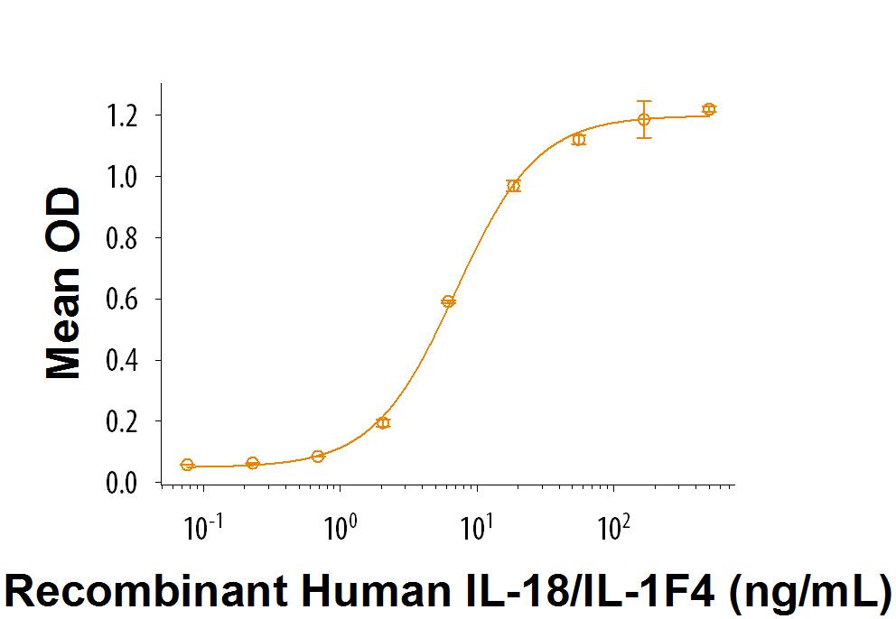 Recombinant Human IL-18/IL-1F4 Protein Bioactivity