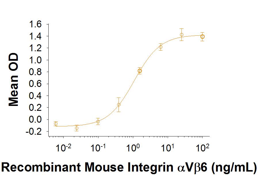 Recombinant Rat Integrin alpha V beta 6 Protein Binding Activity
