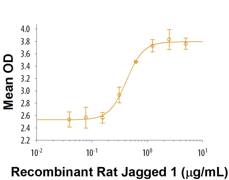 Recombinant Rat Jagged 1 His Tagged Protein Bioactivity