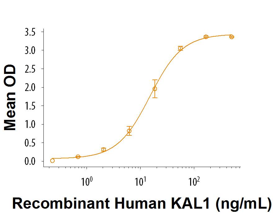 Recombinant Human KAL1 Protein Bioactivity