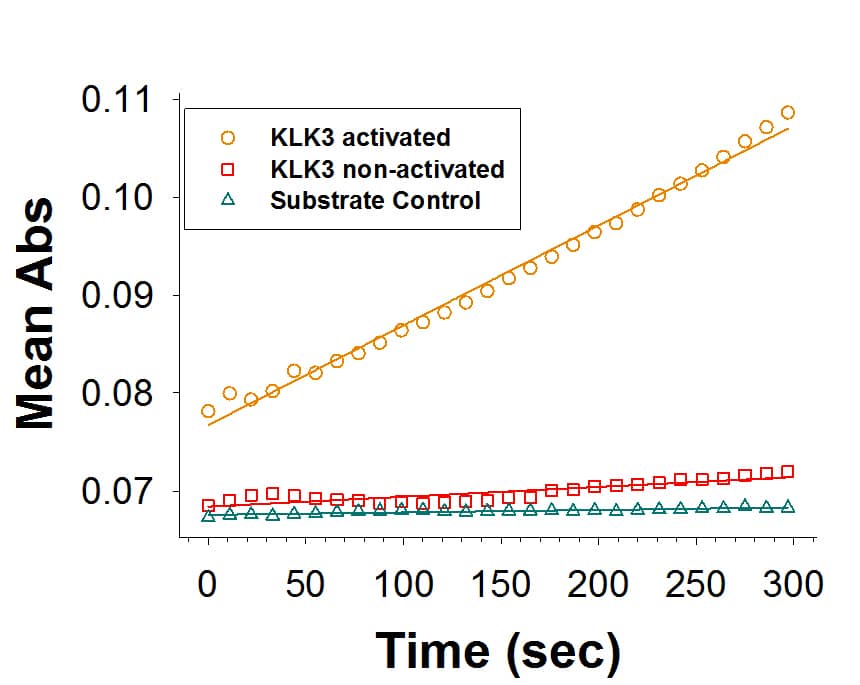 Recombinant Human Kallikrein 3/PSA Protein Enzyme Activity