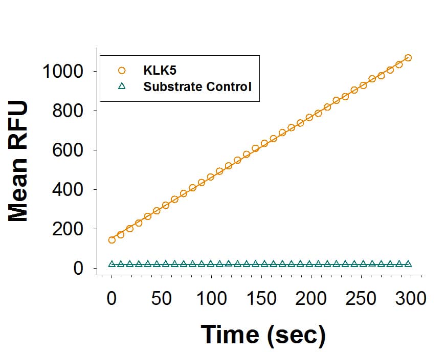 Recombinant Human Kallikrein 5 Protein Enzyme Activity