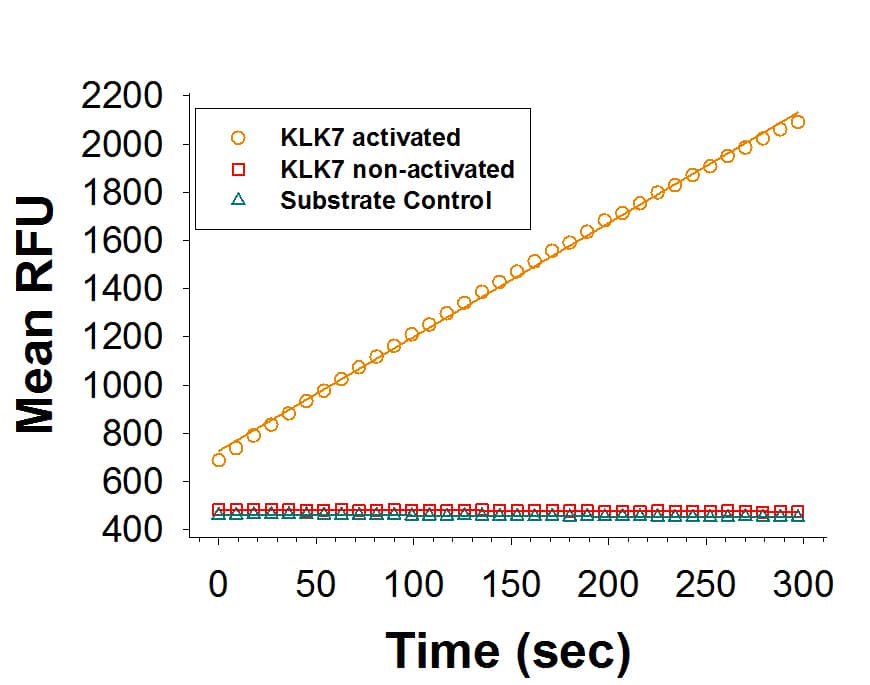 Recombinant Human Kallikrein 7 Protein Enzyme Activity