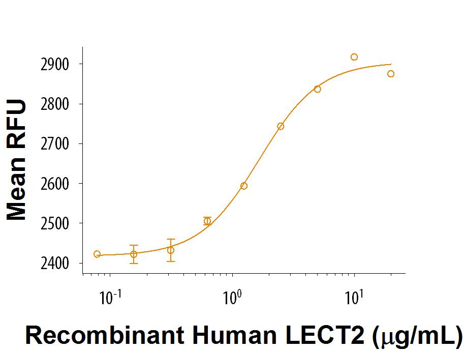 Recombinant Human LECT2 Protein Bioactivity