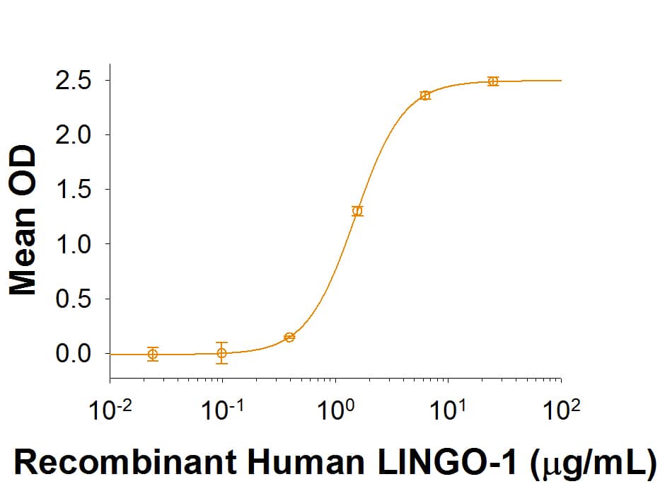 Recombinant Human LINGO-1 Protein Binding Activity