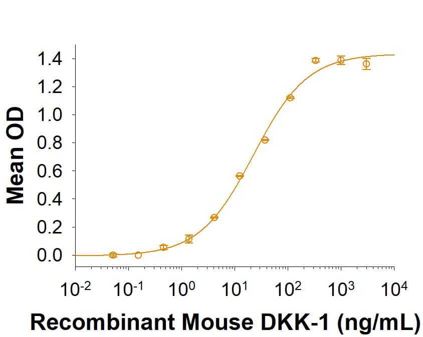 Recombinant Mouse LRP-6 N-Terminal Fragment Fc Protein Binding Activity