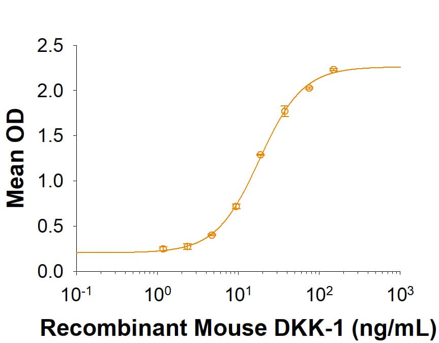 Recombinant Mouse LRP-6 C-Terminal Fragment Fc Protein Binding Activity