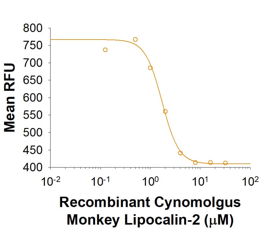 Recombinant Cynomolgus Lipocalin-2/NGAL His-tag Protein Binding Activity