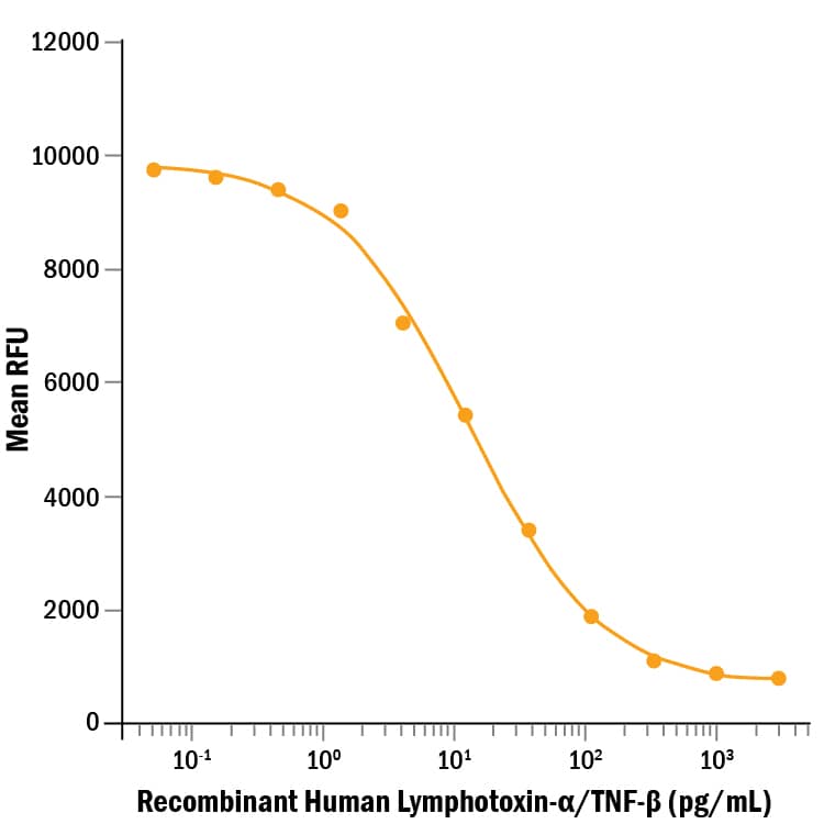 Recombinant Human Lymphotoxin-alpha/TNF-beta Protein Bioactivity