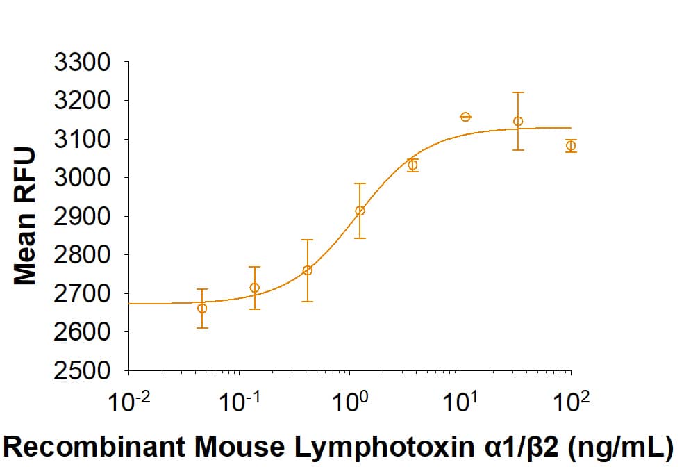 Recombinant Mouse Lymphotoxin alpha1/beta2 Protein Bioactivity