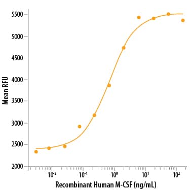 Recombinant Human M-CSF Protein Bioactivity