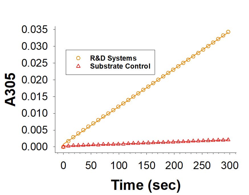 Recombinant Human MTAP His-tag Protein Enzyme Activity