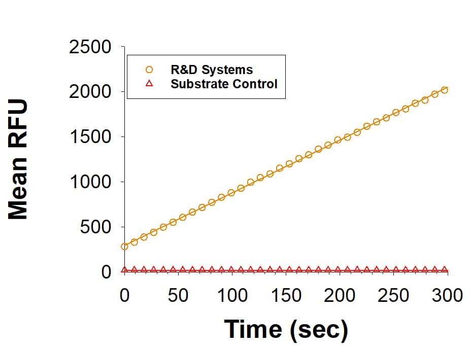 Recombinant Human Matriptase/ST14 Catalytic Domain Enzyme Activity