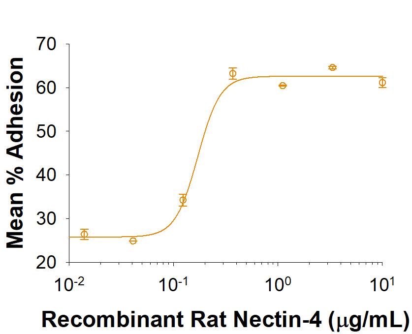 Recombinant Rat Nectin-4 His-tag Protein Bioactivity