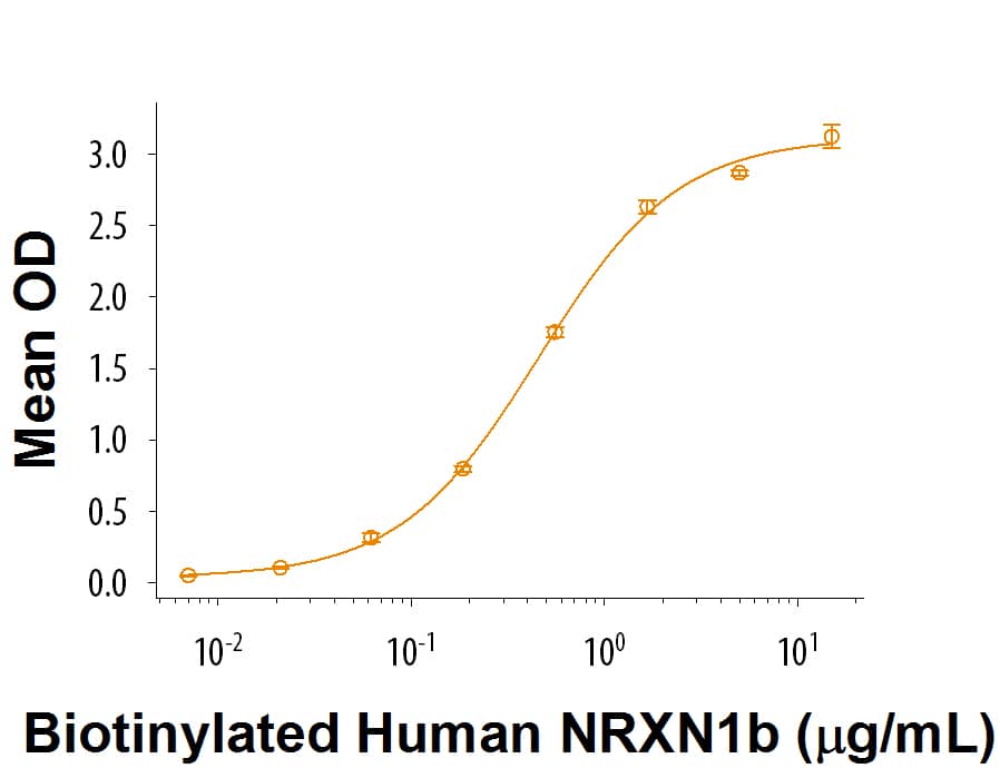 Recombinant Human Neuroligin 3/NLGN3 Protein Bioactivity