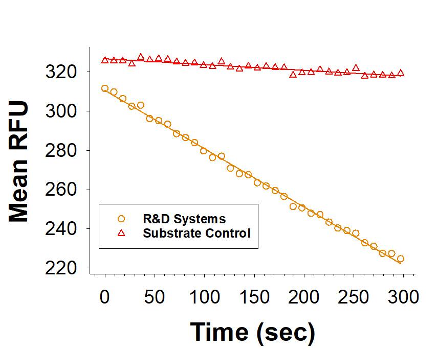 Recombinant Human ODC1 His-tag Protein Enzyme Activity