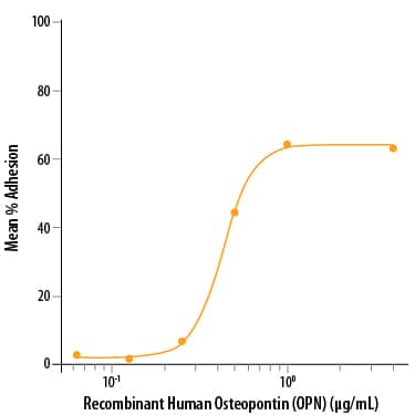 Recombinant Human Osteopontin (OPN) Protein Bioactivity