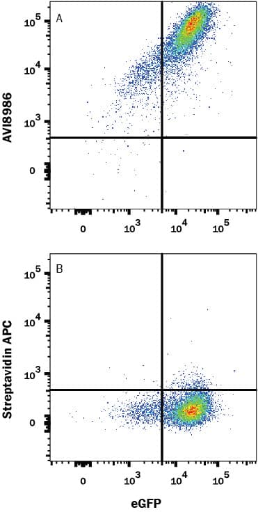 Recombinant Human PD-1 His-tag Avi-tag Protein Flow Cytometry