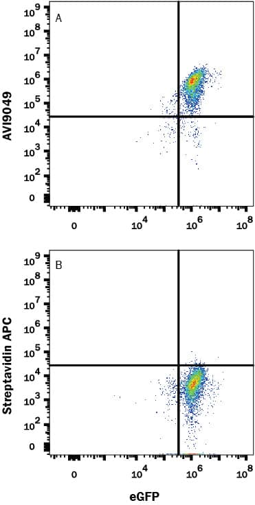 Recombinant Human PD-L1/B7-H1 His-tag Avi-tag Protein Flow Cytometry