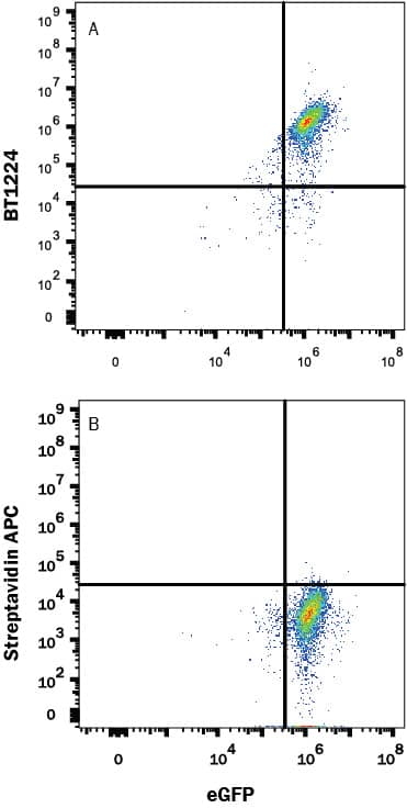 Recombinant Human PD-L2 Fc Biotinylated Protein Flow Cytometry