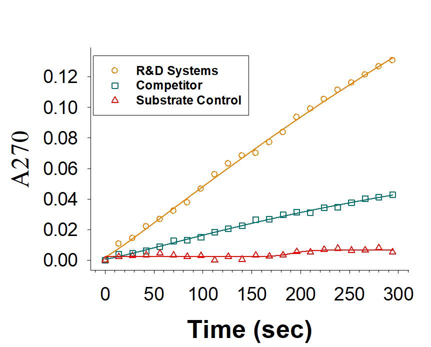 Recombinant Human PON1 His-tag Fc Chimera Protein Enzyme Activity