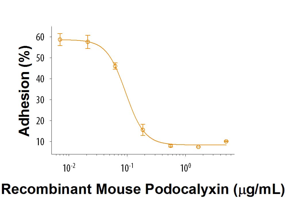 Recombinant Mouse Podocalyxin Protein Bioactivity