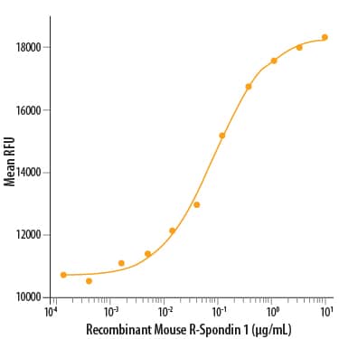 Recombinant Mouse R-Spondin 1 Protein Bioactivity