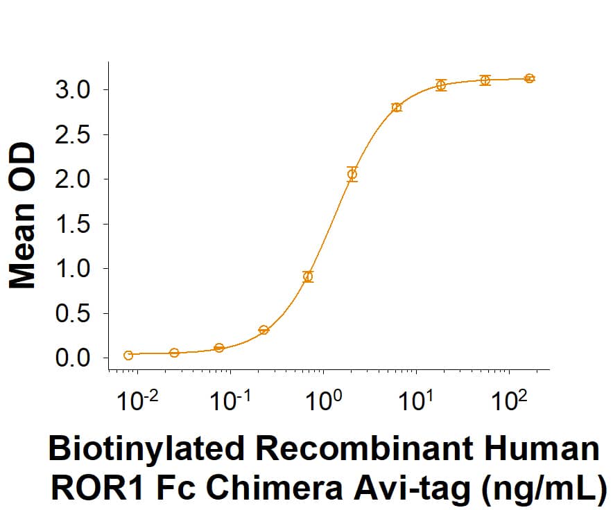 Recombinant Human ROR1 Fc Chimera Avi-tag Protein Binding Activity