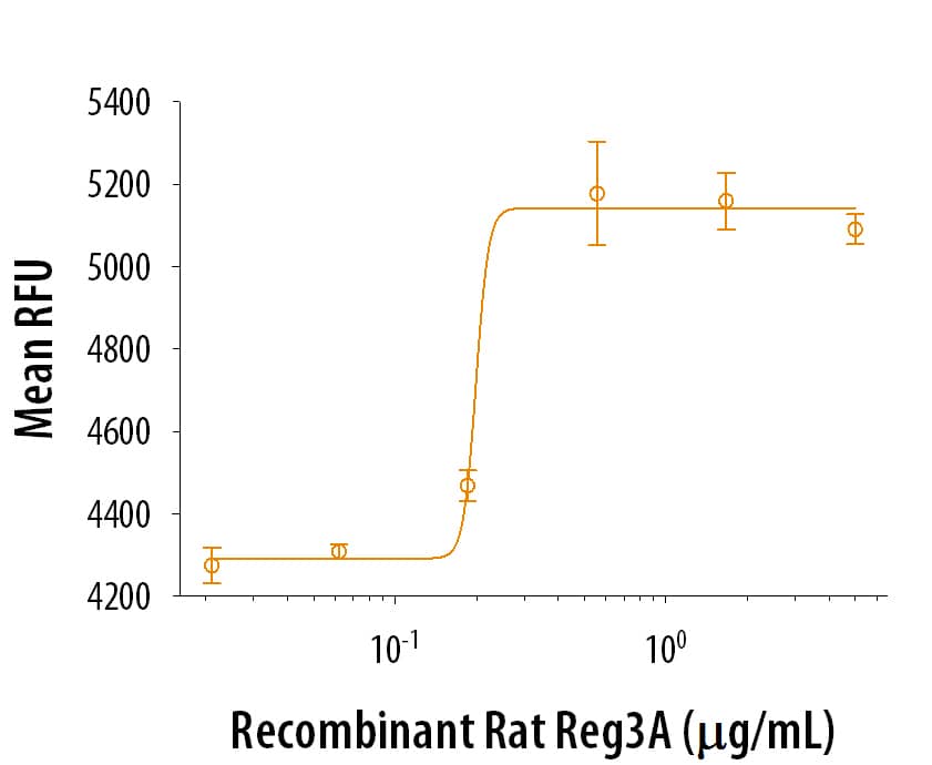 Reg3A Induced Cell Proliferation.