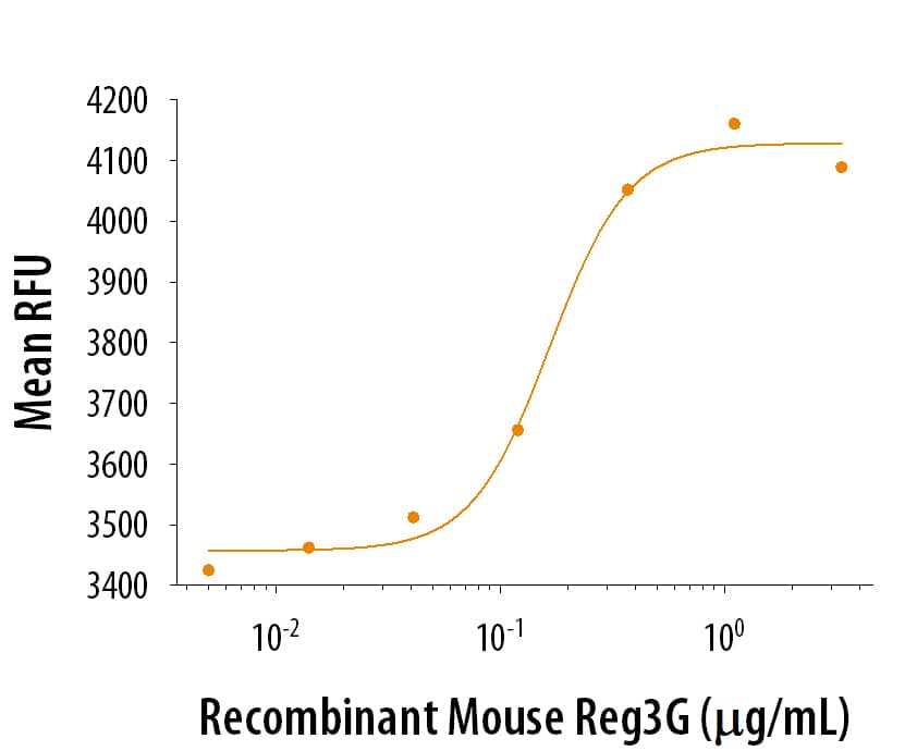 Recombinant Mouse Reg3G Protein Binding Activity