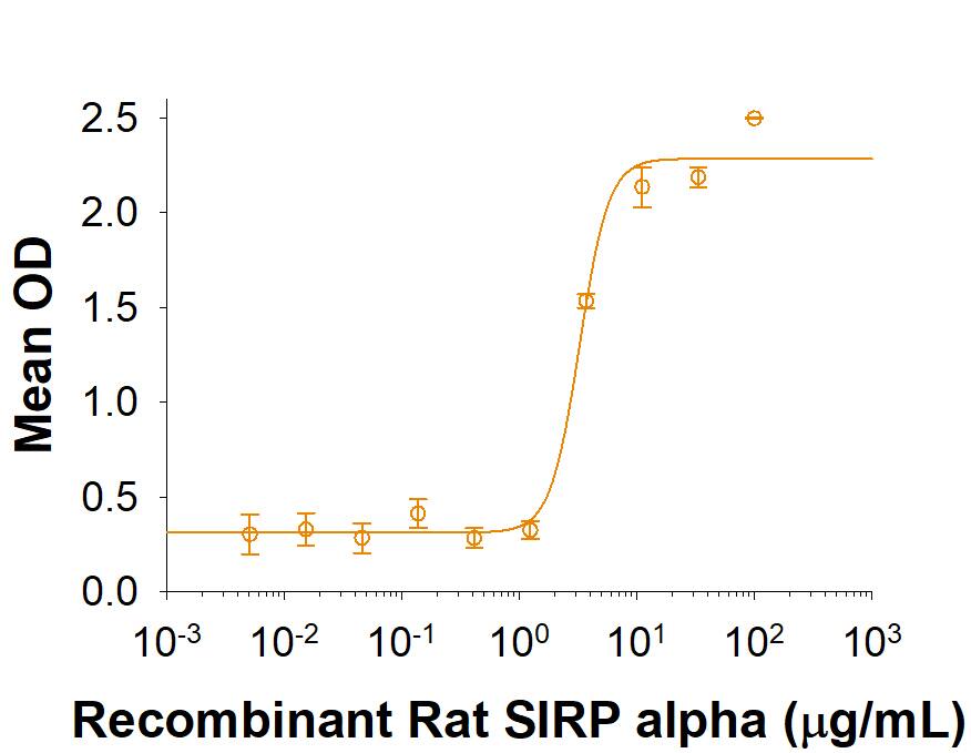 Recombinant Rat SIRP alpha/CD172a Protein Bioactivity