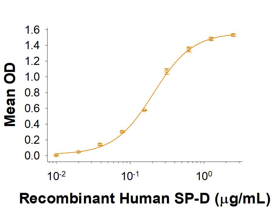 Recombinant Human SIRP beta 1/CD172b Protein Binding Activity