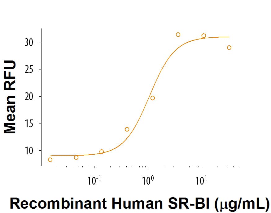 Recombinant Human SR-BI Fc Chimera Protein Bioactivity