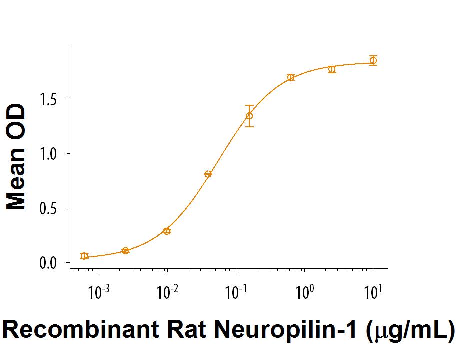 Recombinant Human Semaphorin 3B Fc Chimera Protein Bioactivity