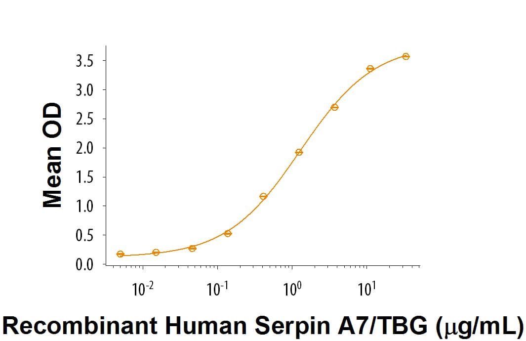 Recombinant Human Serpin A7/TBG Protein Bioactivity