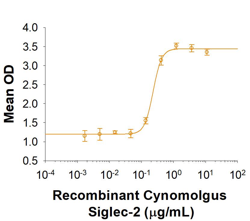 Recombinant Cynomolgus Siglec-2/CD22 Fc Chimera Protein Bioactivity